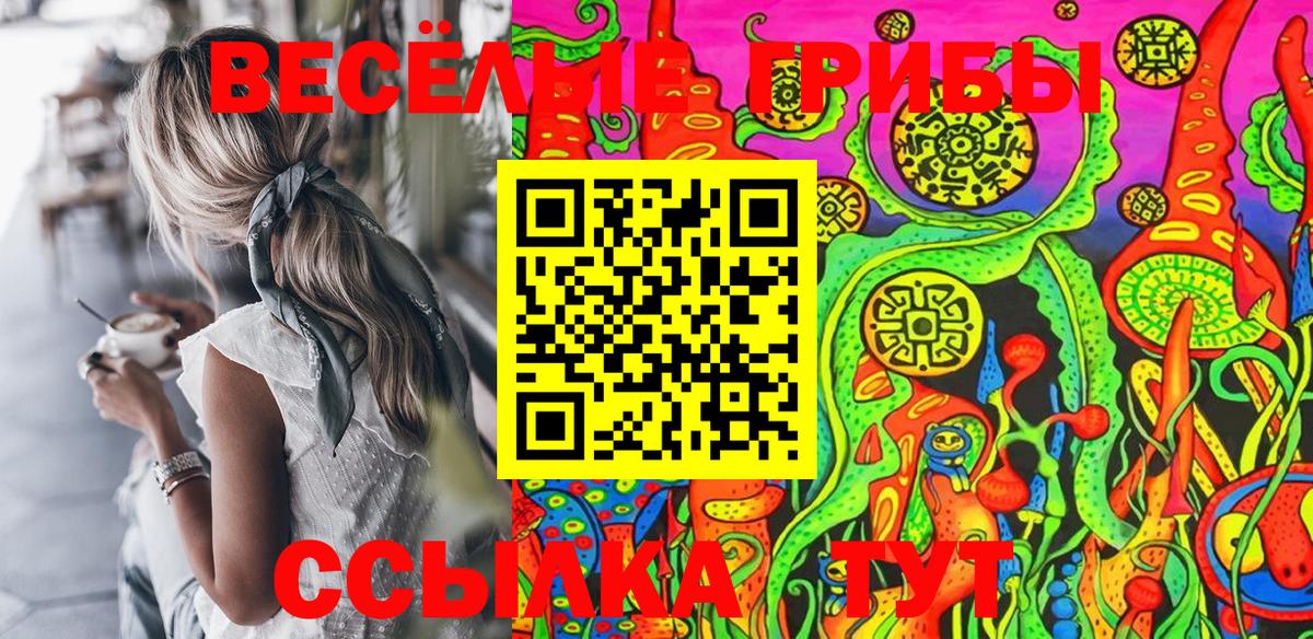 Галлюциногенные грибы Psilocybine cubensis Котовск