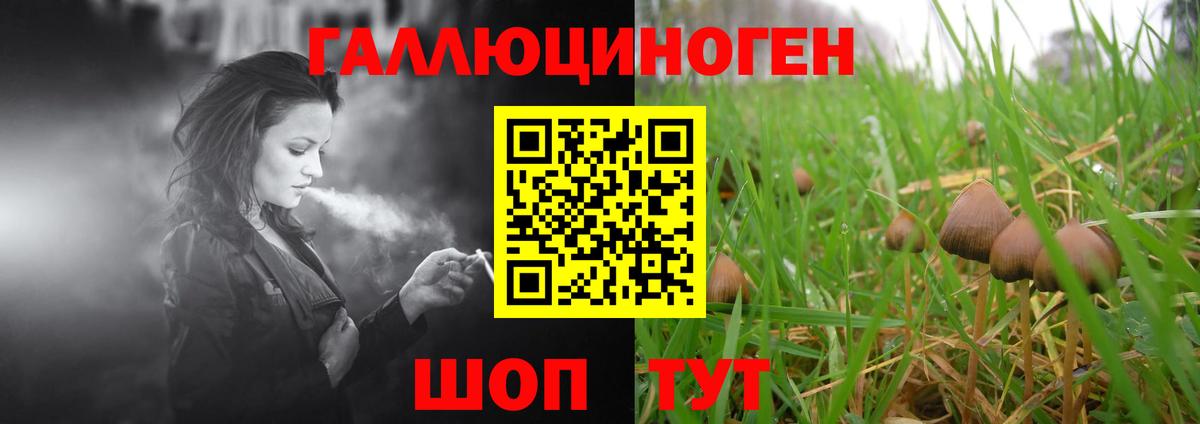 дарнет шоп  Галлюциногенные грибы Psilocybine cubensis  Вход с VPN  Псилоцибиновые грибы Magic Shrooms  Котовск 